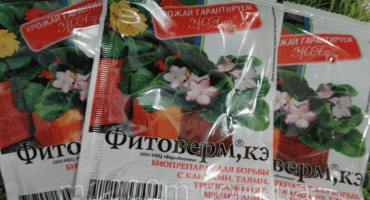 Metody, jak se vypořádat s můrou na jabloni, jak ji zpracovat, jak se zbavit